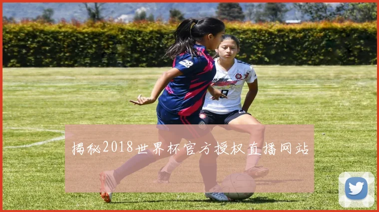 揭秘2018世界杯官方授权直播网站